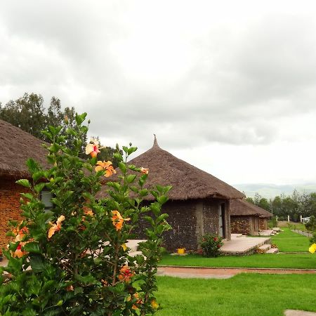 Mayleko Lodge Gondar Dış mekan fotoğraf