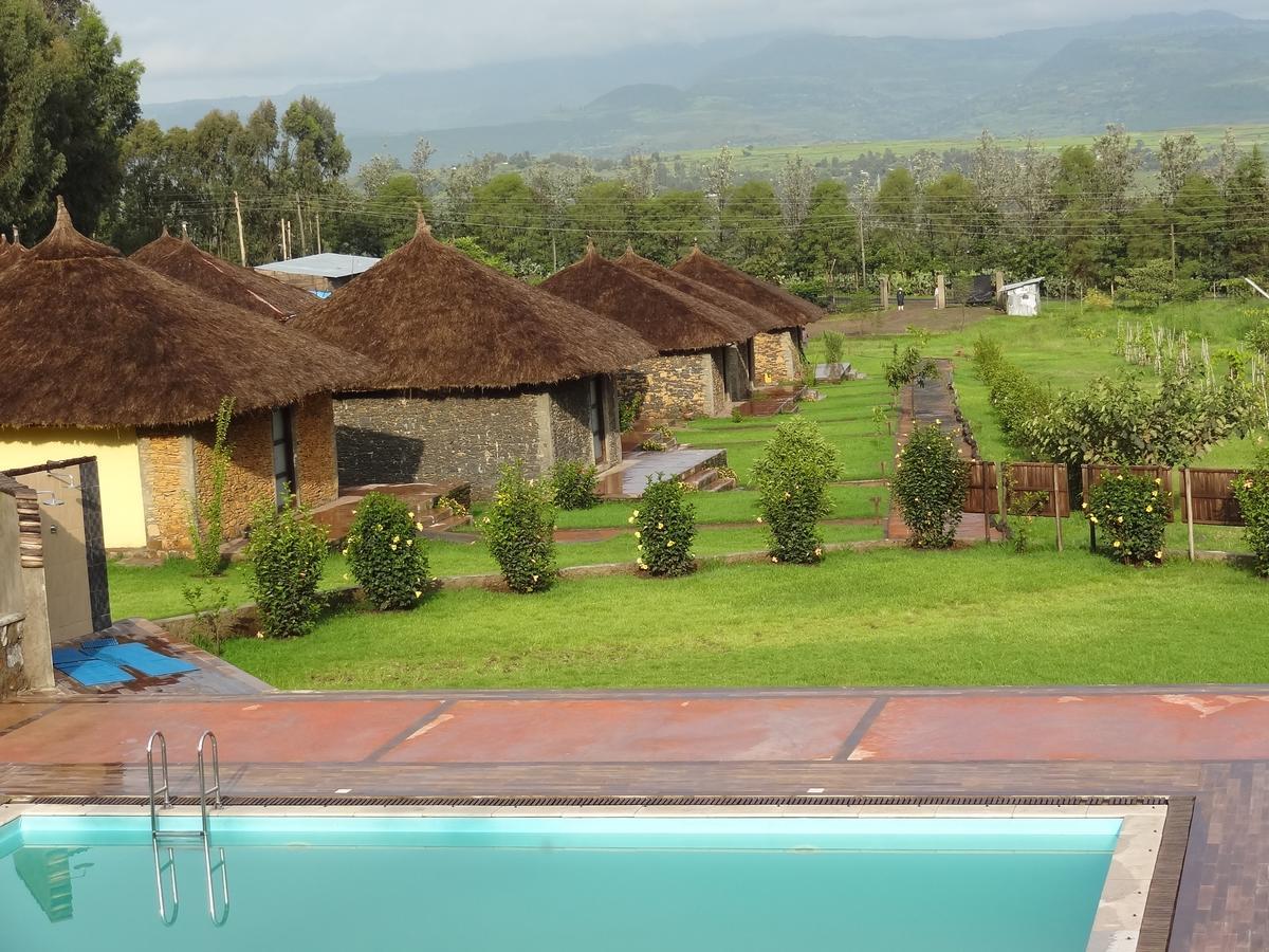 Mayleko Lodge Gondar Dış mekan fotoğraf
