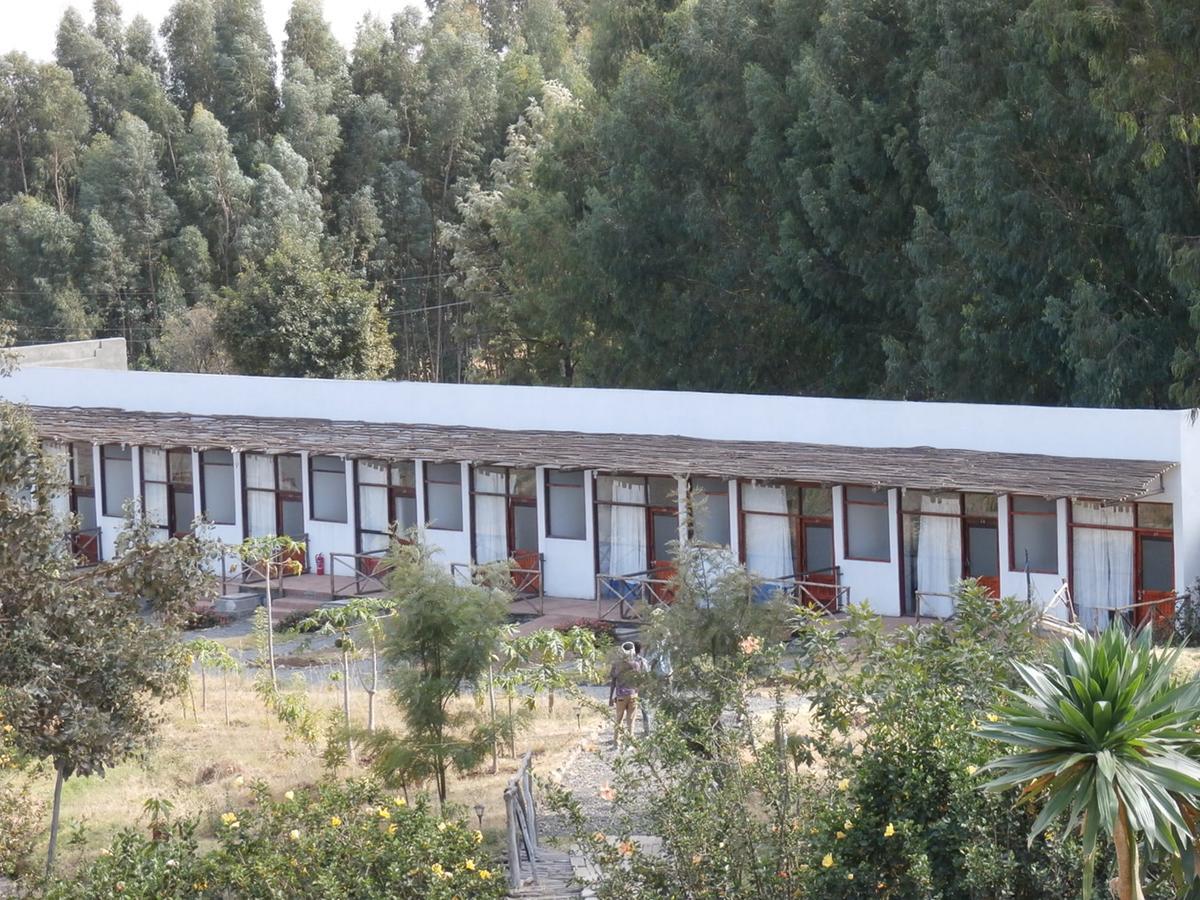 Mayleko Lodge Gondar Dış mekan fotoğraf