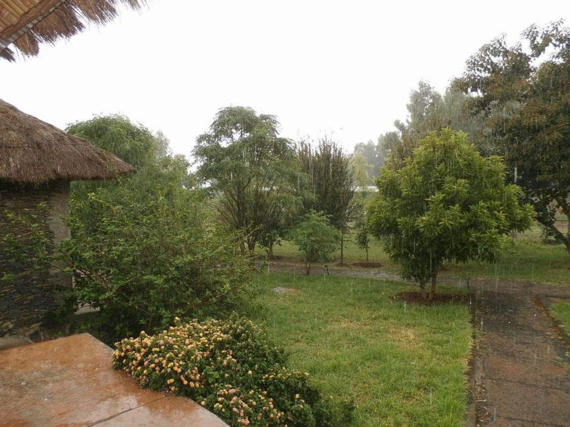 Mayleko Lodge Gondar Dış mekan fotoğraf