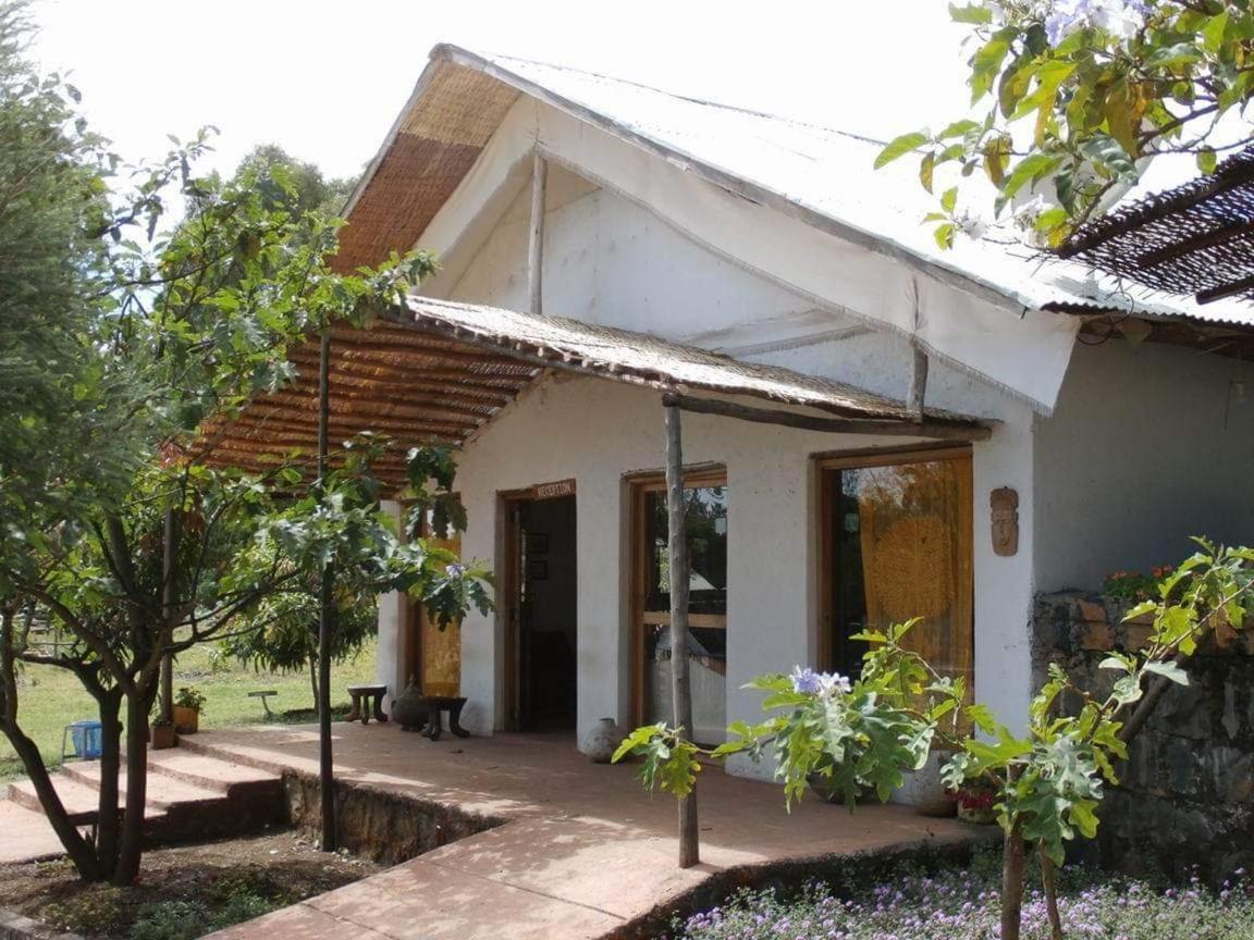 Mayleko Lodge Gondar Dış mekan fotoğraf