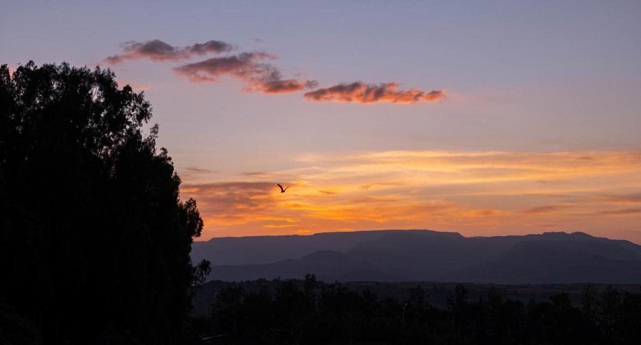 Mayleko Lodge Gondar Dış mekan fotoğraf