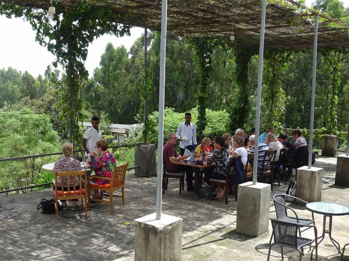 Mayleko Lodge Gondar Dış mekan fotoğraf