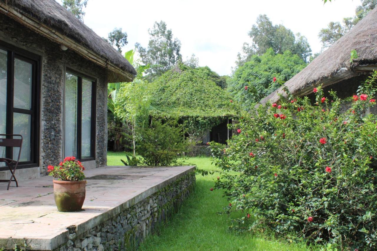 Mayleko Lodge Gondar Dış mekan fotoğraf
