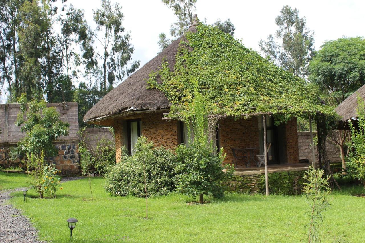 Mayleko Lodge Gondar Dış mekan fotoğraf